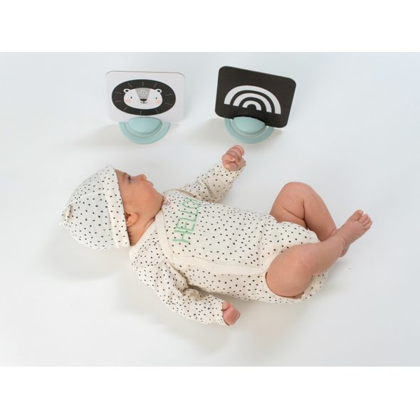 TAF TOYS SADA KARET PRO HRU NA BŘÍŠKU - AKTIVNÍ HRAČKY - PRO DĚTI