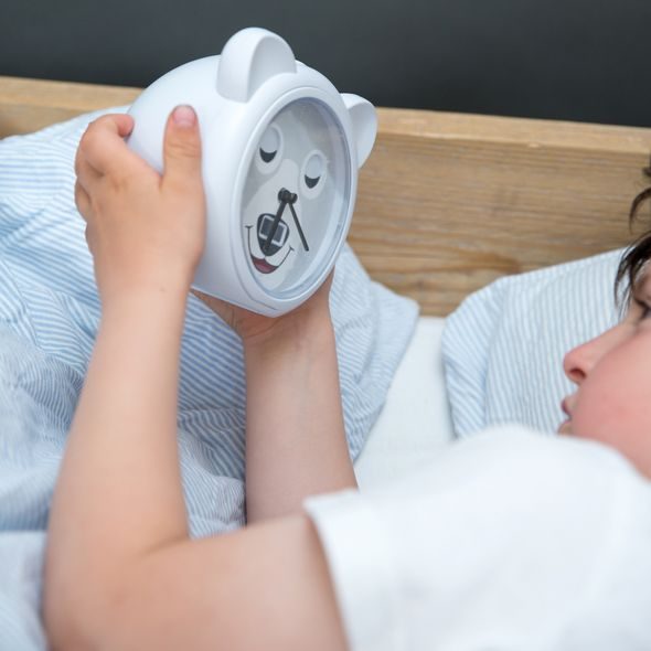 ZAZU MEDVÍDEK BOBBY TRÉNINKOVÝ BUDÍK - TRÉNINKOVÉ BUDÍKY - SPINKÁNÍ