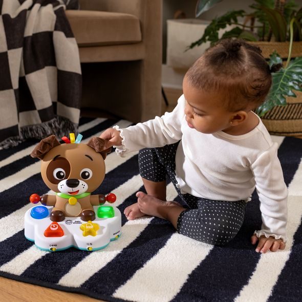 BABY EINSTEIN HRAČKA HUDEBNÍ VZDĚLÁVACÍ DRUM & LEARN DEAN™ 6M+ - MOTORICKÉ A HUDEBNÍ - PRO DĚTI