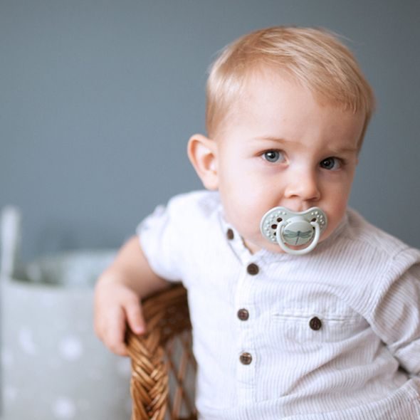 LOVI DUDLÍK SILIKONOVÝ DYNAMICKÝ BOTANIC 18M+ 2KS BOY - ŠIDÍTKA A DOPLŇKY - KRMENÍ