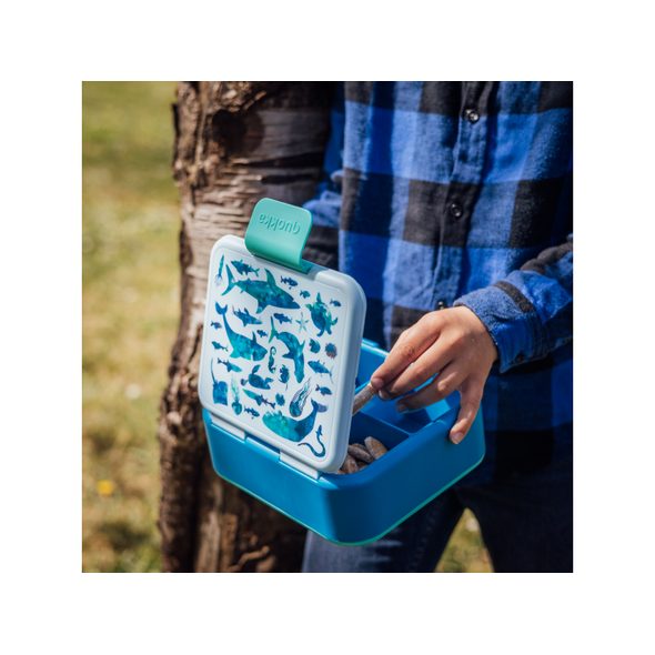 QUOKKA PLASTOVÝ BOX NA SVAČINU TWIST KIDS SEA ANIMALS - KRABIČKY NA SVAČINU - KRMENÍ