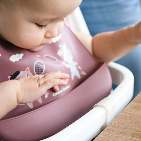 CANPOL BABIES BRYNDÁK SILIKONOVÝ S KAPSOU BONJOUR PARIS RŮŽOVÝ - BRYNDÁKY - KRMENÍ