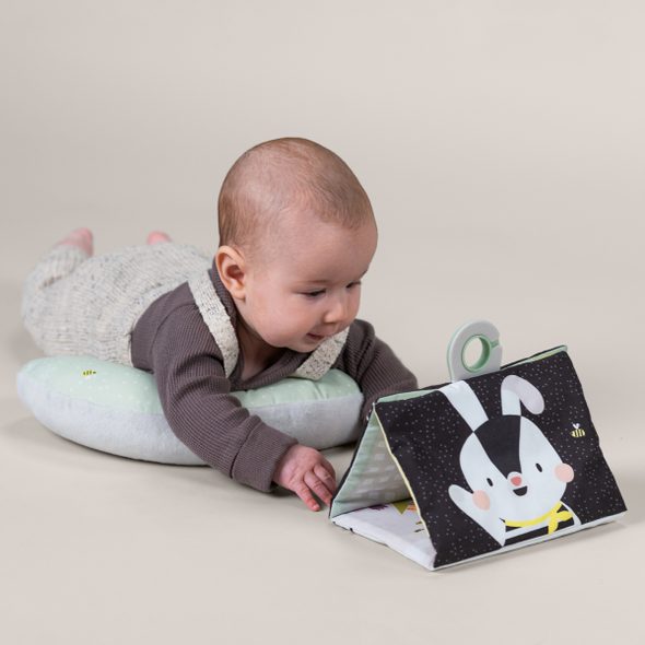 TAF TOYS POLŠTÁŘEK PRO HRU NA BŘÍŠKU A ŠUSTICÍ KNÍŽKA - HRA NA BŘÍŠKU - PRO DĚTI