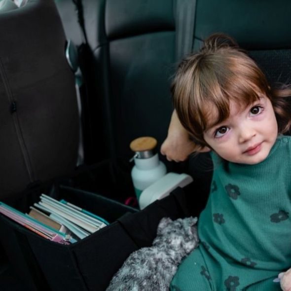 EZIMOOV CESTOVNÍ BOX EZI STORAGE - KAPSÁŘE A ORGANIZÉRY - AUTOSEDAČKY A PŘÍSLUŠENSTVÍ