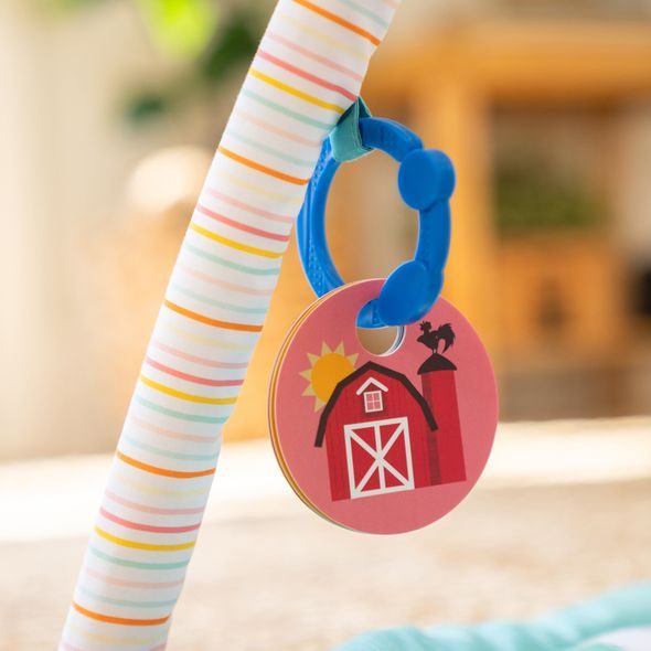 BABY EINSTEIN DEKA NA HRANÍ PRO ROZVOJ MOTORIKY A SMYSLŮ HAPPY HARVEST™ TOUCH & FEEL, 0M+ - HRACÍ DEKY - PRO DĚTI