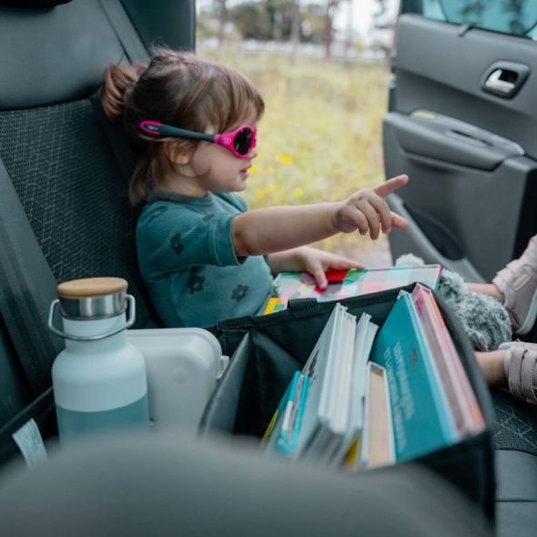 EZIMOOV CESTOVNÍ BOX EZI STORAGE - KAPSÁŘE A ORGANIZÉRY - AUTOSEDAČKY A PŘÍSLUŠENSTVÍ