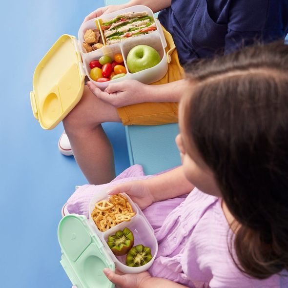 B.BOX SVAČINOVÝ BOX MALÝ - SPEARMINT - KRABIČKY NA SVAČINU - KRMENÍ