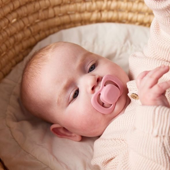 B.BOX DUDLÍKY SILIKONOVÉ 0-6M, 2KS - BERRY/BLUSH - ŠIDÍTKA A DOPLŇKY - KRMENÍ