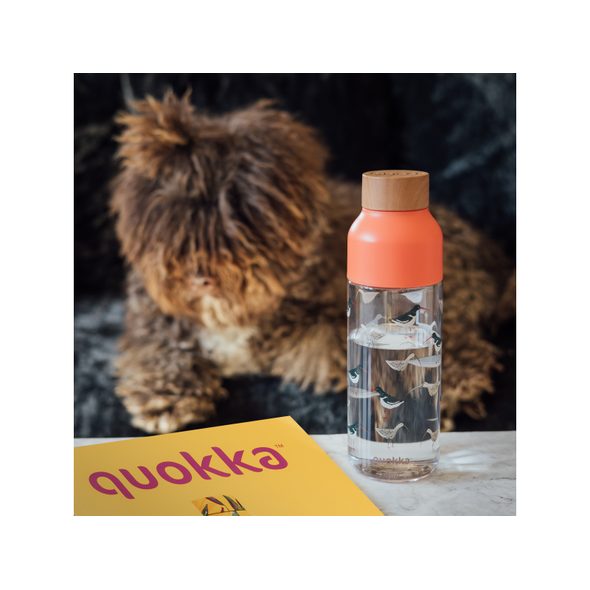 QUOKKA PLASTOVÁ LÁHEV ICE BIRDS 720 ML - SPORTOVNÍ LAHVE - KRMENÍ