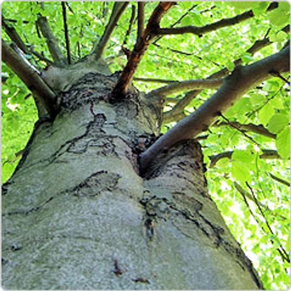 TOBI® BABYBAY® ORIGINAL - K RODIČOVSKÉ POSTELI - SPINKÁNÍ