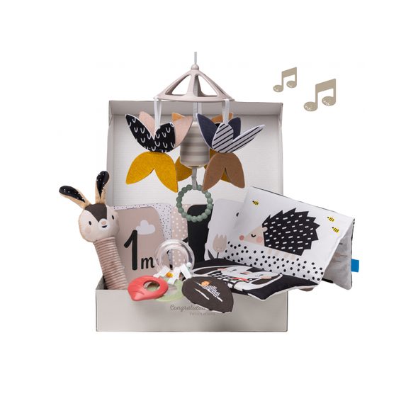 TAF TOYS SADA HRAČEK BLACK&WHITE KIT - ČERNOBÍLÉ HRAČKY - PRO DĚTI