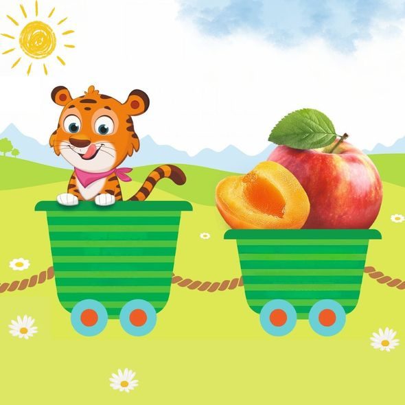 HIPP BIO JABLKA S MERUŇKAMI 4X100 G - OVOCE/DEZERTY - KRMENÍ