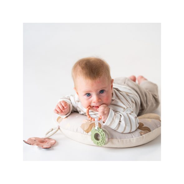 TAF TOYS POLŠTÁŘEK PRO HRU NA BŘÍŠKU TUMMY TIME FIRST - HRA NA BŘÍŠKU - PRO DĚTI