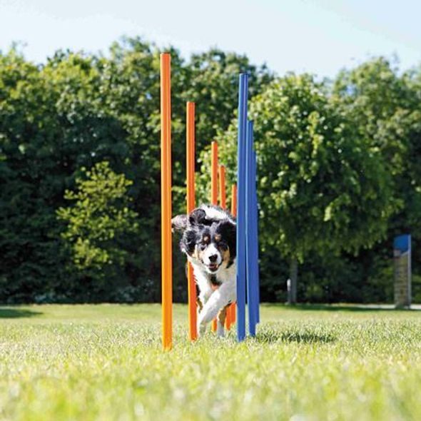 TRIXIE AGILITY SLALOM, TYČE 12KS - AGILITY PŘEKÁŽKY - CHOVATELSKÉ POTŘEBY MALVÍKZOO