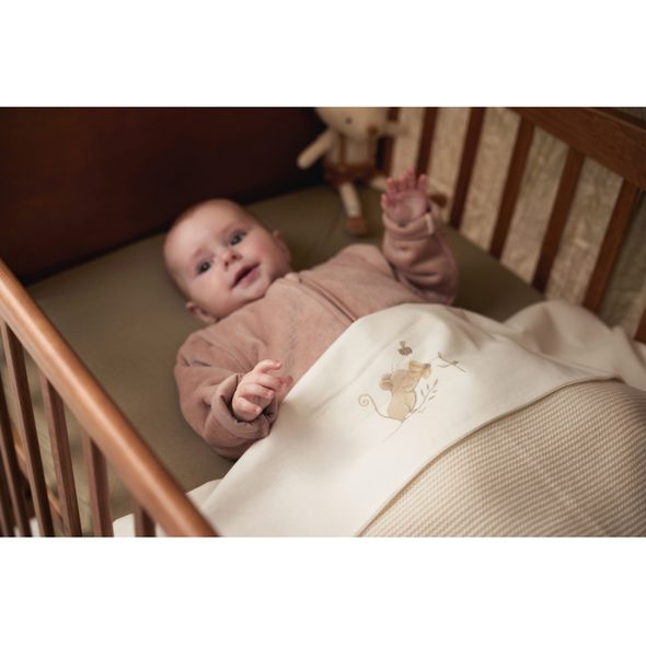 JOLLEIN PROSTĚRADLO KLASICKÉ 75X100 CM DREAMY MOUSE - PROSTĚRADLA - SPINKÁNÍ