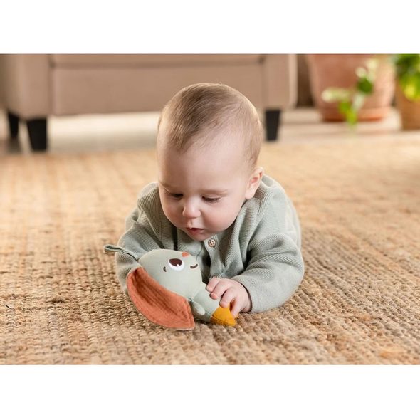 TINY LOVE KRÁLÍČEK GARDEN OF ADVENTURES - HRAČKY K ZAVĚŠENÍ - PRO DĚTI