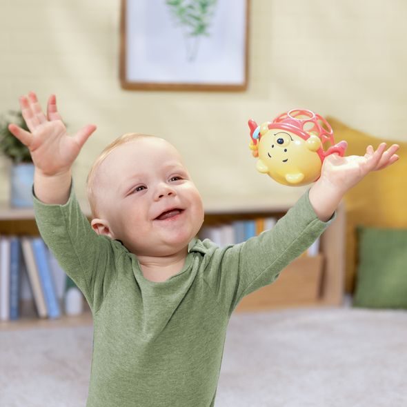 BRIGHT STARTS HRAČKA OBALL CHRASTÍTKO WINNIE THE POOH JINGLE & SHAKE™ 0M+ - CHRASTÍTKA - PRO DĚTI