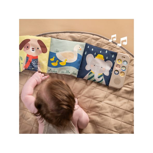 TAF TOYS KNÍŽKA PRO NEJMENŠÍ SE ZVUKY - KNÍŽKY PRO NEJMENŠÍ - PRO DĚTI