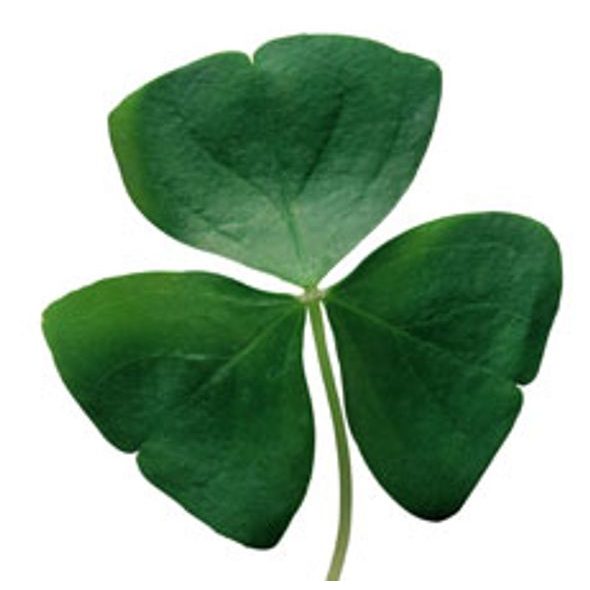 BABYBJÖRN TALÍŘEK SE LŽIČKOU - MISKY, TALÍŘKY A PODLOŽKY - KRMENÍ