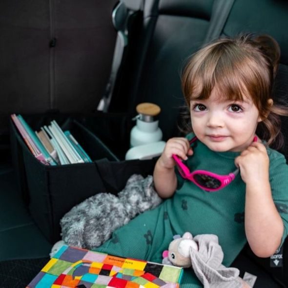 EZIMOOV CESTOVNÍ BOX EZI STORAGE - KAPSÁŘE A ORGANIZÉRY - AUTOSEDAČKY A PŘÍSLUŠENSTVÍ