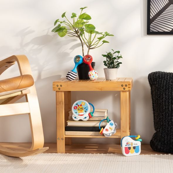 BABY EINSTEIN HRAČKA CHRASTÍTKO SHAKE & GROOVE™ 2KS, 0M+ - MOTORICKÉ A HUDEBNÍ - PRO DĚTI