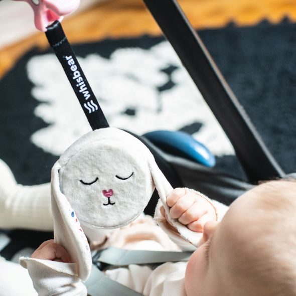 WHISBEAR® ŠUMÍCÍ ZÁVĚSNÝ KRÁLÍK - HRAČKY K ZAVĚŠENÍ - PRO DĚTI