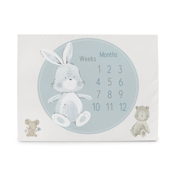 CEBA PODLOŽKA MILNÍKOVÁ NA FOCENÍ (92X72) BASIC - HRACÍ PODLOŽKY NA ZEM - SPINKÁNÍ