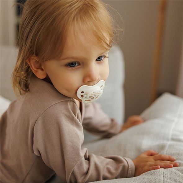 BABYONO DUDLÍKY SILIKONOVÉ ANATOMICKÉ 18M+, 2 KS - ŠIDÍTKA A DOPLŇKY - KRMENÍ