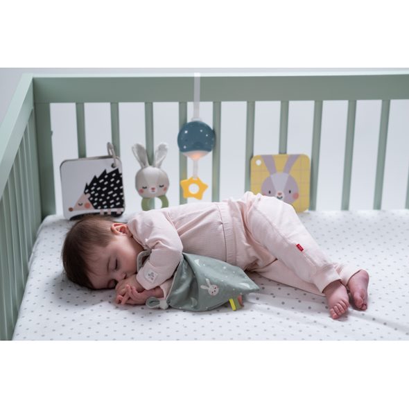 TAF TOYS SADA HRAČEK BEDTIME KIT - USÍNÁČCI MAZLÍCÍ - PRO DĚTI