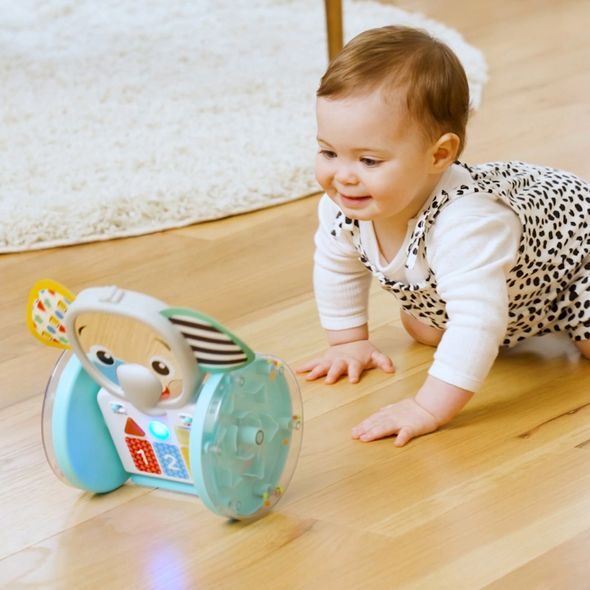 BABY EINSTEIN HRAČKA HUDEBNÍ INTERAKTIVNÍ CHASE & TAP EARL™ 6M+ - MOTORICKÉ A HUDEBNÍ - PRO DĚTI