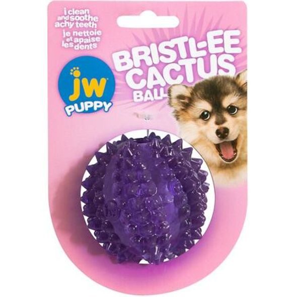 JW PET JW BRISTL-EE CACTUS BALL - DENTÁLNÍ HRAČKY PRO PSY - CHOVATELSKÉ POTŘEBY MALVÍKZOO