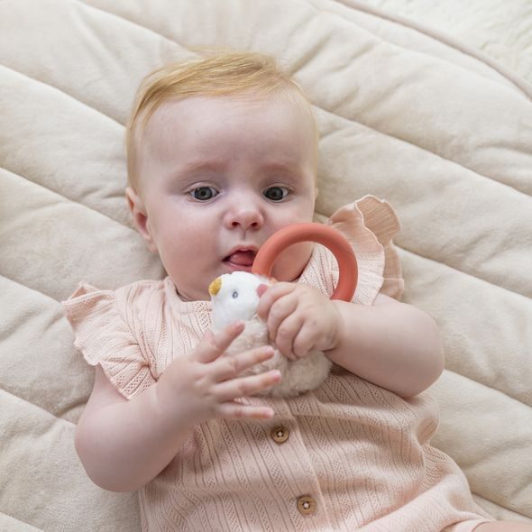 NATTOU CHRASTÍTKO S KOUSÁTKEM SILIKON PLYŠOVÝ JEŽEK ZOE 15 CM MILA, ZOE & LANA - CHRASTÍTKA - PRO DĚTI