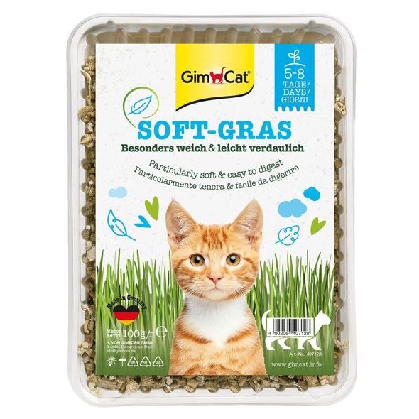 GIMBORN TRÁVA GIMPET SOFT-GRASS 100G - TRÁVA PRO KOČKY - CHOVATELSKÉ POTŘEBY MALVÍKZOO