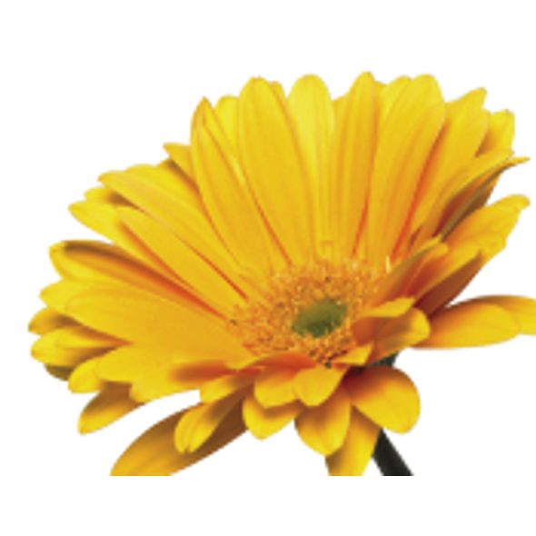 GRO SPACÍ VAK 2.5 TOG - CELOROČNÍ - SPACÍ PYTLE - SPINKÁNÍ