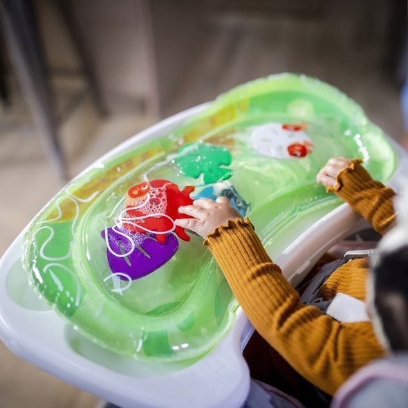BABY EINSTEIN DEKA NA HRANÍ 2V1 S VODNÍ PODLOŽKOU SEA FLOOR EXPLORERS™ 0M+ - HRACÍ DEKY - PRO DĚTI
