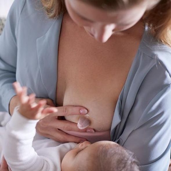 PHILIPS AVENT CHRÁNIČ BRADAVEK - SMALL 2 KS + STER.KRABIČKA + PRSNÍ VLOŽKY JEDNORÁZOVÉ 24 KS - CHRÁNIČE A TVAROVAČE BRADAVEK - PRO MAMINKY