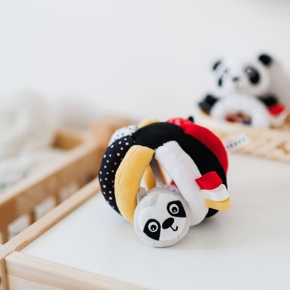 CANPOL BABIES SENZORICKÝ MÍČEK LENOCHOD S CHRASTÍTKEM A PÍSKÁTKEM BABIESBOO - CHRASTÍTKA - PRO DĚTI