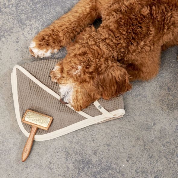 PALOPA RUČNÍK PRO PSY NOBS TAUPE M-L - PRO MAZLÍČKY - NOŠENÍ & SPORT