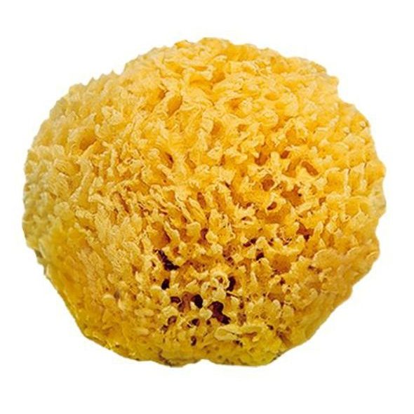 SARO ABSORPČNÍ HOUBA NATURAL - ŠAMPONY A KOSMETIKA - KOUPÁNÍ A ZDRAVÍ
