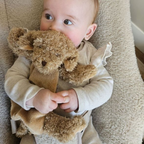 HAPPY HORSE PEJSEK BROWNIE PŘÍTULKA VELIKOST: 22 CM - HAPPY HORSE - PRO DĚTI