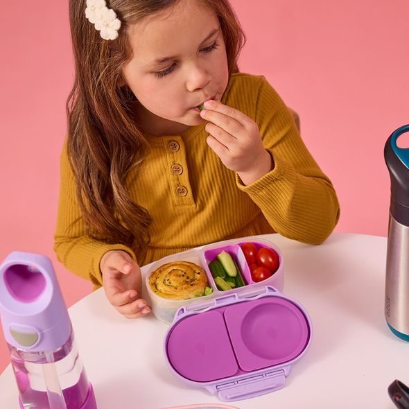B.BOX LAHEV NA PITÍ S BRČKEM 450 ML - SUGAR PLUM - SPORTOVNÍ LAHVE - KRMENÍ