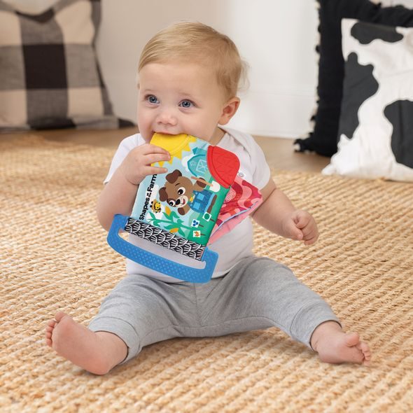 BABY EINSTEIN KNÍŽKA MĚKKÁ S KOUSÁTKY A TEXTURAMI SHAPES AT THE FARM™, 0M+ - KNÍŽKY PRO NEJMENŠÍ - PRO DĚTI