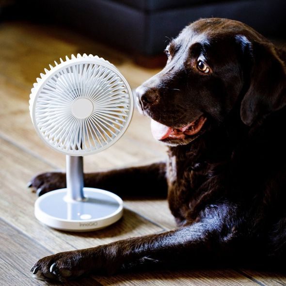 INNOGIO STOLNÍ USB VENTILÁTOR S PODSVÍCENÍM GIO AIR MIDI - ZVLHČOVAČE A ČISTIČKY VZDUCHU - SPINKÁNÍ