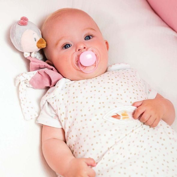 NATTOU MINI MAZLÍČEK TUČŇÁK SASHA PS 30 X 20 CM - USÍNÁČCI MAZLÍCÍ - PRO DĚTI