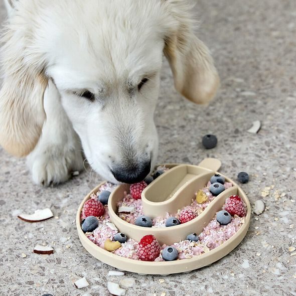 PALOPA VLOŽKA DO MISKY PROTI HLTÁNÍ YUMO LIGHT GREY - PRO MAZLÍČKY - NOŠENÍ & SPORT