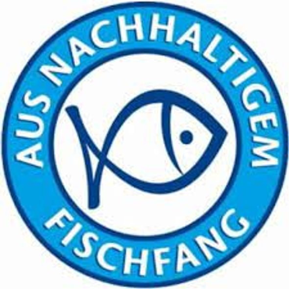 HIPP BIO NÁPOJ JEMNÉ JABLKO A OVOCE S NEPERLIVOU PRAMENITOU VODOU 200 ML - EXPIRACE 27.2.2026 - NÁPOJE - KRMENÍ