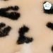 FILLIKID FUSAK ZIMNÍ Z MERINO JEHNĚČÍ KOŽEŠINY BERNINA SNOW LEOPARD NATURE - FUSAKY DO KOČÁRKU - KOČÁRKY A PŘÍSLUŠENSTVÍ
