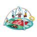 BABY EINSTEIN DEKA NA HRANÍ PRO ROZVOJ MOTORIKY A SMYSLŮ HAPPY HARVEST™ TOUCH & FEEL, 0M+ - HRACÍ DEKY - PRO DĚTI