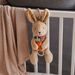 BABYONO HRAČKA HUDEBNÍ NA C-KROUŽKU RABBIT KARO 0M+ - HRAČKY SE ZVUKY - PRO DĚTI