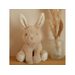 LITTLE DUTCH KRÁLÍČEK PLYŠOVÝ 15 CM NEWBORN NATURALS - LITTLE DUTCH - PRO DĚTI